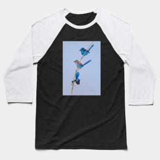 Australian Blue Wrens - birds Baseball T-Shirt